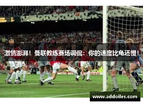 激情澎湃！曼联教练赛场调侃：你的速度比龟还慢！